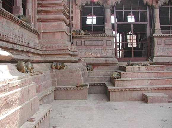 Путешествие по Вриндавану