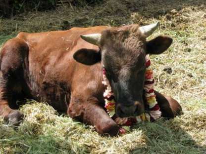 Общение со Святой Личностью