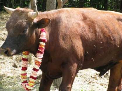 Общение со Святой Личностью