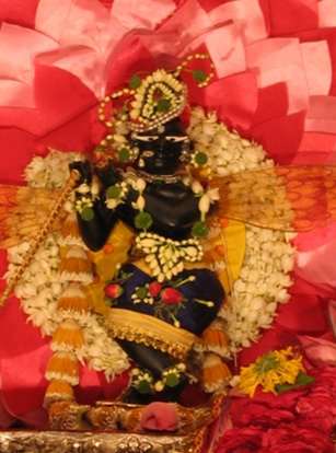 Божество Шри Шри Радхи-Раманы