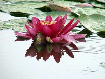 Александр Хакимов, Позитивная основа нашей жизни