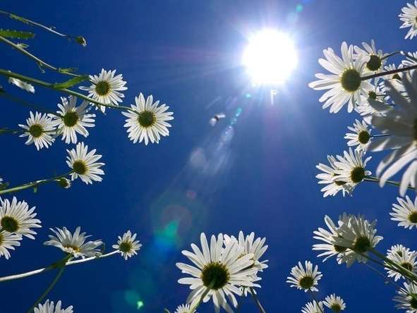 Александр Хакимов, cеминар «Уровни сознания» (лекция 5)