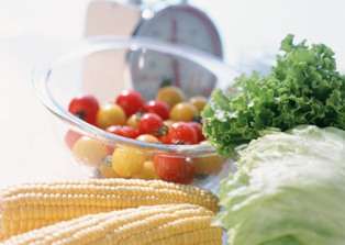 История вегетарианства