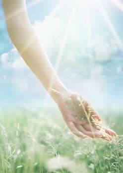 вегетарианство